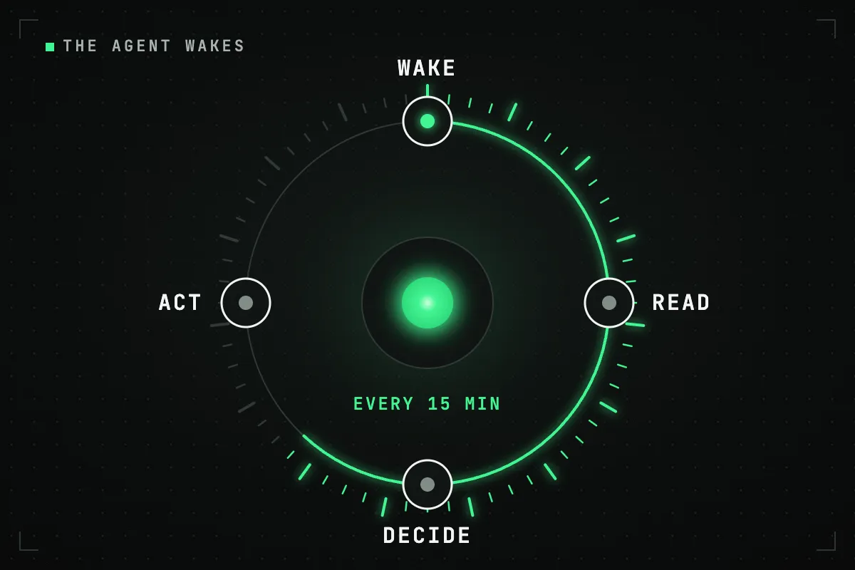 A circular cycle around the glowing core of the agent: wake, read the chain, decide, act; a green arc of minute ticks marks the wait until the next wake.